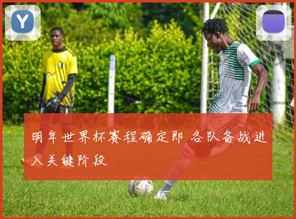 明年世界杯赛程确定即 各队备战进入关键阶段