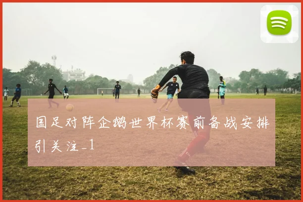 国足对阵企鹅世界杯赛前备战安排引关注_1